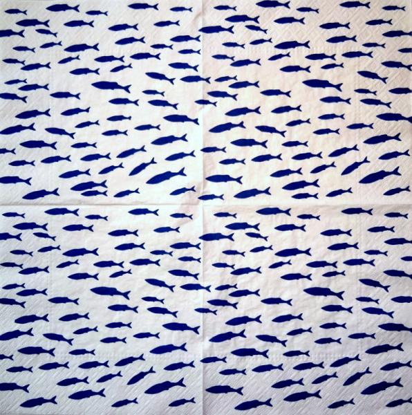 161 Fische - 3-lagig